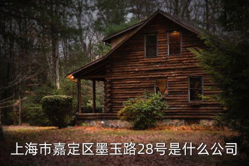 上海市嘉定區墨玉路28號是什么公司