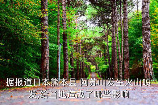 阿蘇山,熊本阿蘇山火山口噴發(fā)火山碎屑和火山灰地面變貧瘠