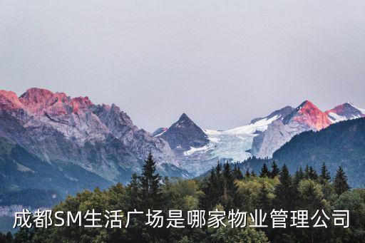 成都SM生活廣場是哪家物業管理公司