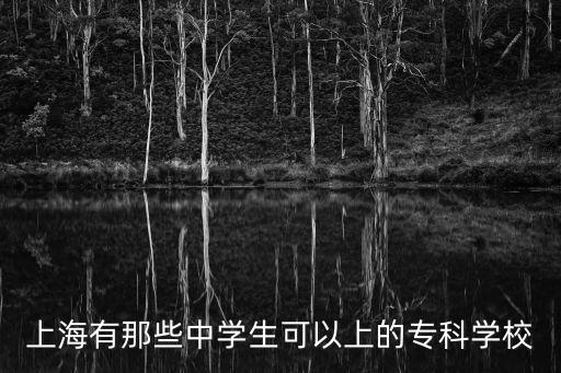 上海有那些中學生可以上的專科學校