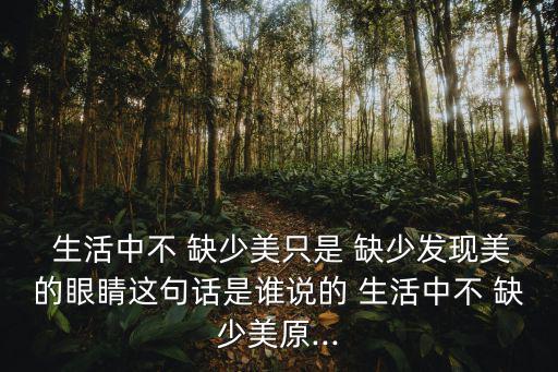  生活中不 缺少美只是 缺少發(fā)現(xiàn)美的眼睛這句話是誰(shuí)說(shuō)的 生活中不 缺少美原...