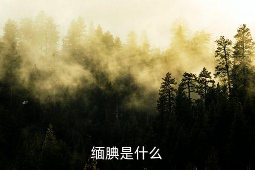 緬腆是什么