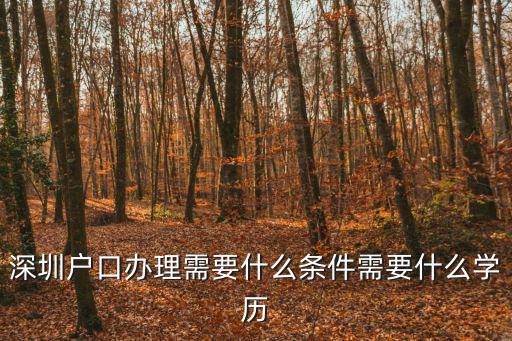 深圳2021落戶政策，申請深圳戶口條件