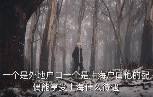 上海戶口落戶政策2021夫妻，一個是外地戶口一個是上海戶口他的配偶能享受上海什么待遇
