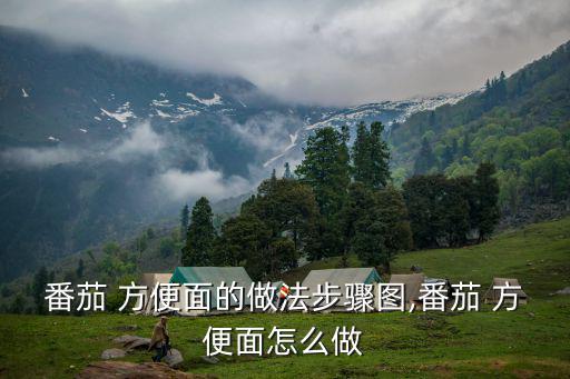 番茄 方便面的做法步驟圖,番茄 方便面怎么做