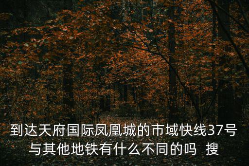 到達(dá)天府國(guó)際鳳凰城的市域快線37號(hào)與其他地鐵有什么不同的嗎  搜
