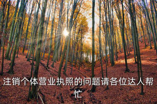 注銷個體營業執照的問題請各位達人幫忙