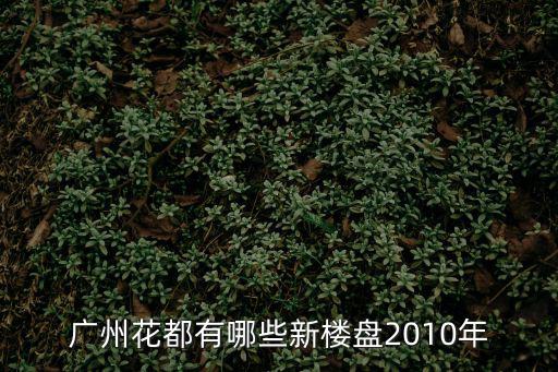 廣州花都有哪些新樓盤2010年