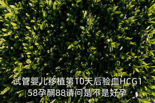試管嬰兒移植第10天后驗血HCG158孕酮88請問是不是好孕