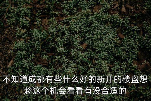 不知道成都有些什么好的新開的樓盤想趁這個機會看看有沒合適的