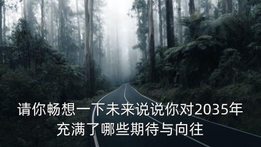 暢想2035，暢想未來作文500字