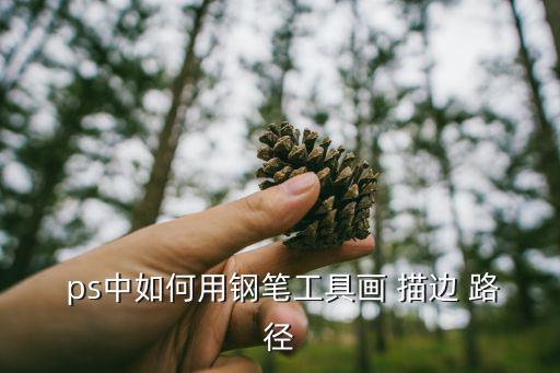  ps中如何用鋼筆工具畫 描邊 路徑