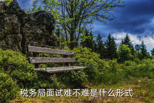 稅務局面試難不難是什么形式