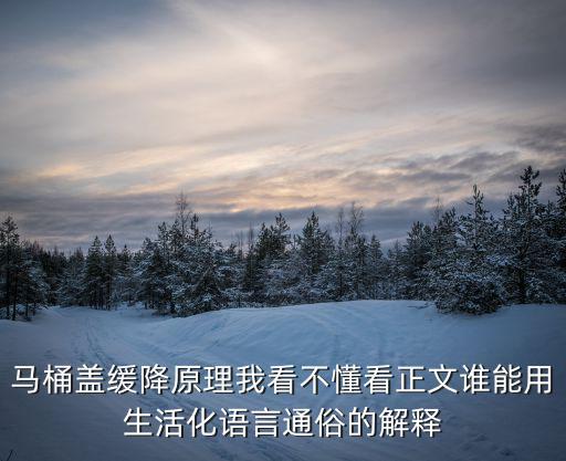 馬桶阻尼器的原理和作用，阻尼器的工作原理是什么
