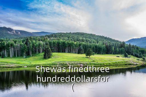 Shewas finedthreehundreddollarsfor(