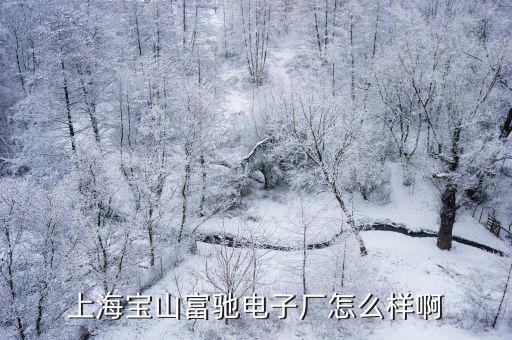 上海寶山富馳電子廠怎么樣啊
