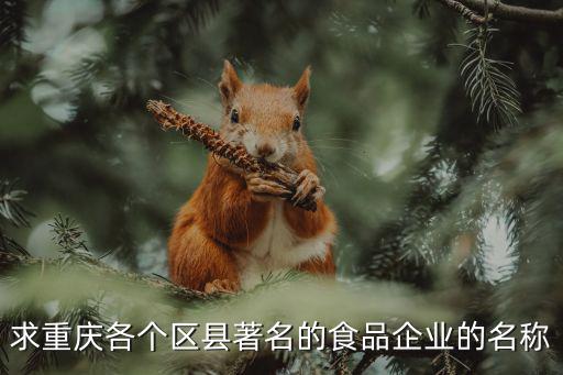 求重慶各個區縣著名的食品企業的名稱