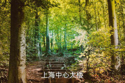 上海中心大樓