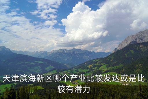 天津濱海新區哪個產業比較發達或是比較有潛力