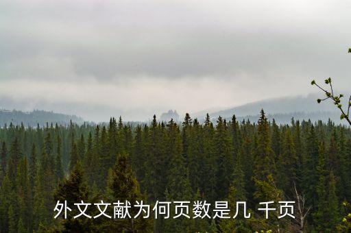 外文文獻為何頁數是幾 千頁