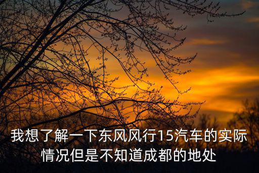 我想了解一下東風風行15汽車的實際情況但是不知道成都的地處