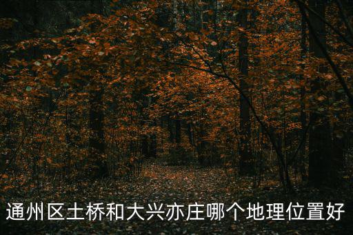 通州區(qū)土橋和大興亦莊哪個(gè)地理位置好