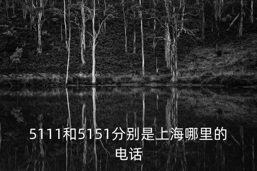 上海市住宅六公司電話，5111和5151分別是上海哪里的電話