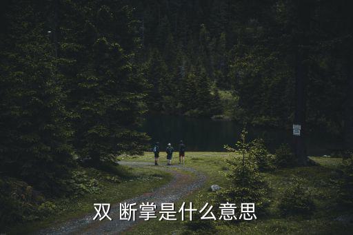 斷掌紋是什么意思