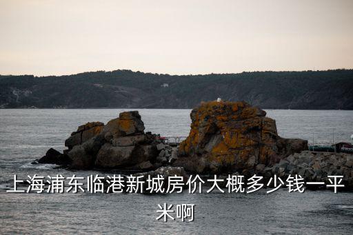 上海浦東臨港新城房價大概多少錢一平米啊