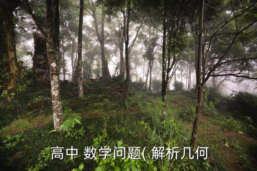 高中數學解析幾何