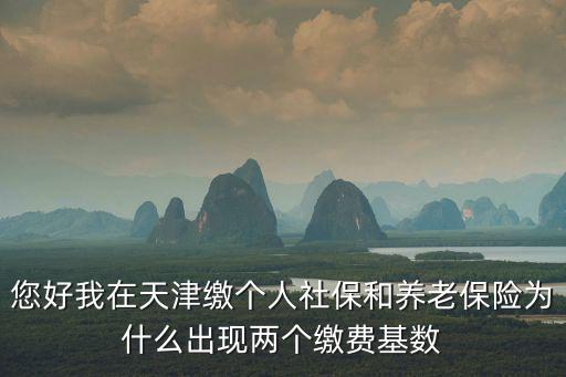 您好我在天津繳個人社保和養(yǎng)老保險為什么出現(xiàn)兩個繳費基數(shù)