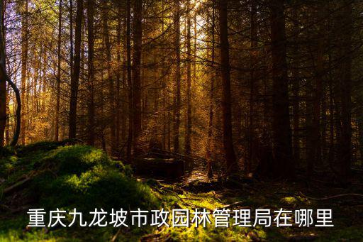 重慶九龍坡市政園林管理局在哪里
