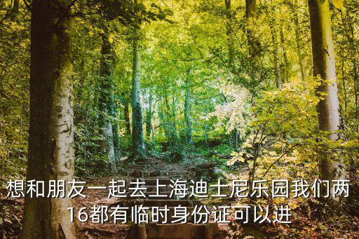 想和朋友一起去上海迪士尼樂園我們兩16都有臨時身份證可以進