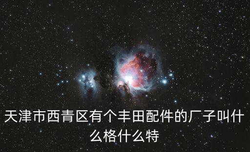 天津市西青區有個豐田配件的廠子叫什么格什么特