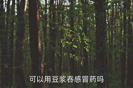可以用豆?jié){吞感冒藥嗎