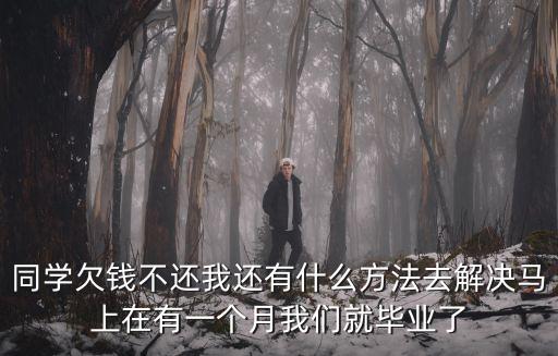同學欠錢不還我還有什么方法去解決馬上在有一個月我們就畢業了