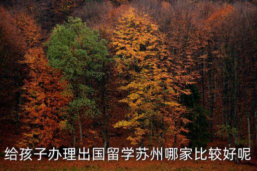 給孩子辦理出國留學(xué)蘇州哪家比較好呢
