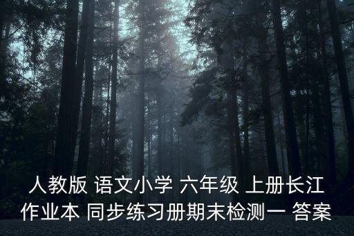 人教版 語文小學 六年級 上冊長江作業本 同步練習冊期末檢測一 答案