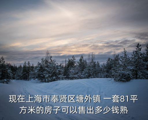 現在上海市奉賢區塘外鎮 一套81平方米的房子可以售出多少錢熟
