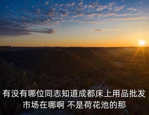 成都市布加迪家紡床上用品廠，請問成都的朋友哪里有比較高檔的床上用品賣