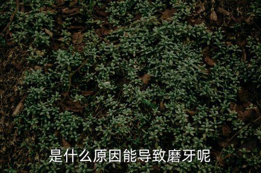 是什么原因能導致磨牙呢
