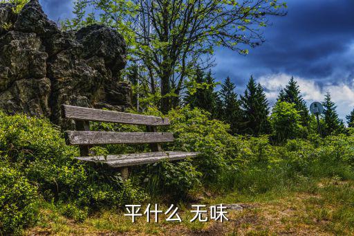 平什么 無味
