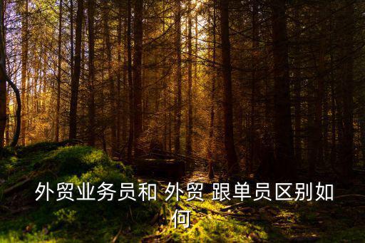 外貿跟單,外貿跟單和業務員有何不同?