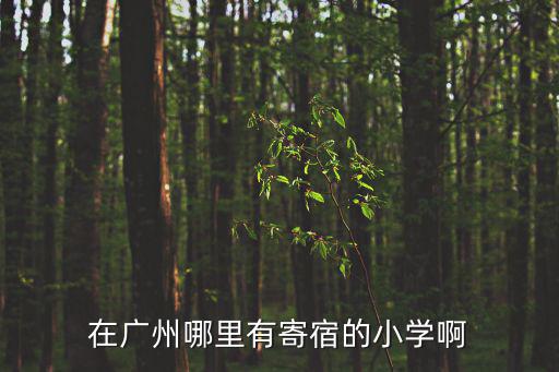 在廣州哪里有寄宿的小學(xué)啊