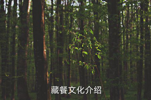  藏餐文化介紹