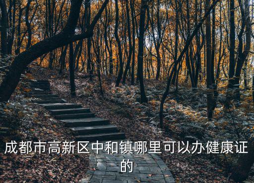 成都市高新區中和鎮哪里可以辦健康證的
