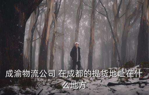 成渝物流公司 在成都的提貨地址在什么地方