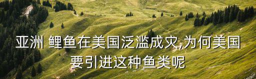 美國鯉魚,美國過度捕撈亞洲鯉魚比英國更嚴重