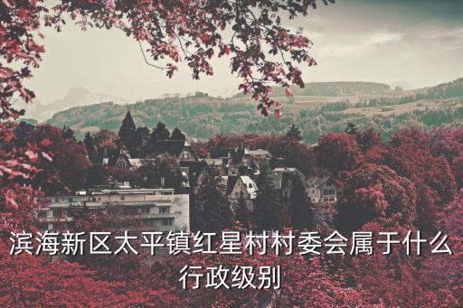 天津市濱海新區(qū)紅星村屬于大港么，濱海新區(qū)太平鎮(zhèn)紅星村村委會(huì)屬于什么行政級(jí)別