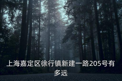 上海嘉定區徐行鎮新建一路205號有多遠